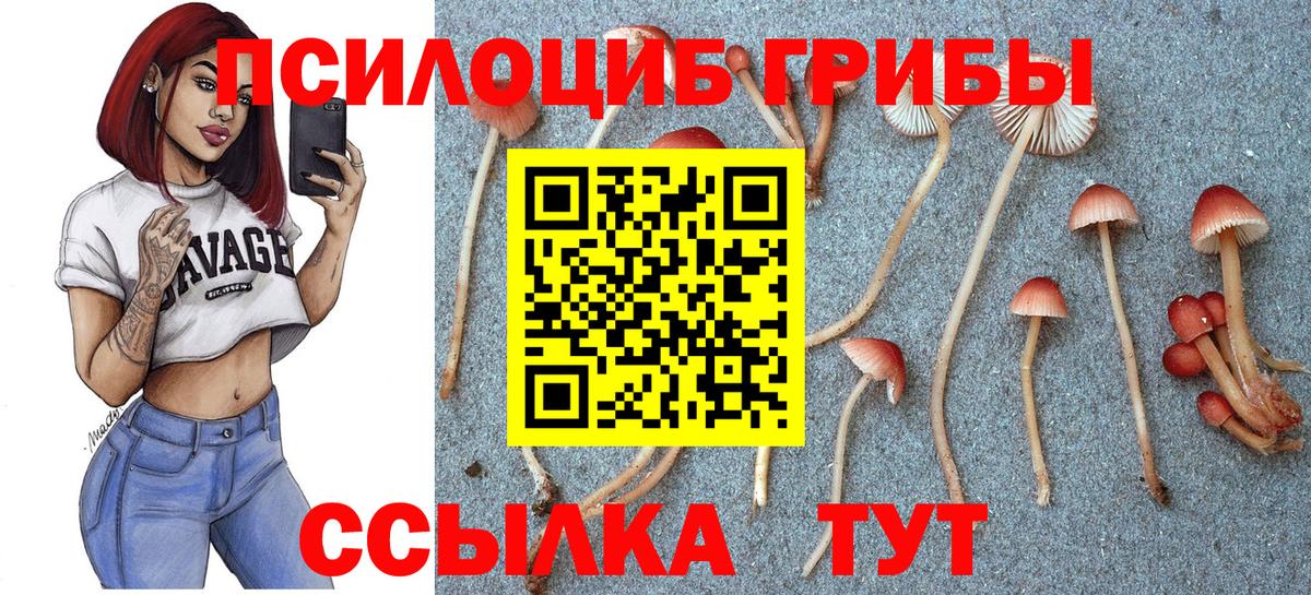 Александров  Галлюциногенные грибы ЛСД  сколько стоит  Вход с VPN 