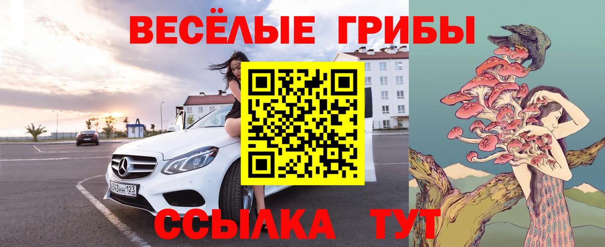 Галлюциногенные грибы мухоморы Александров